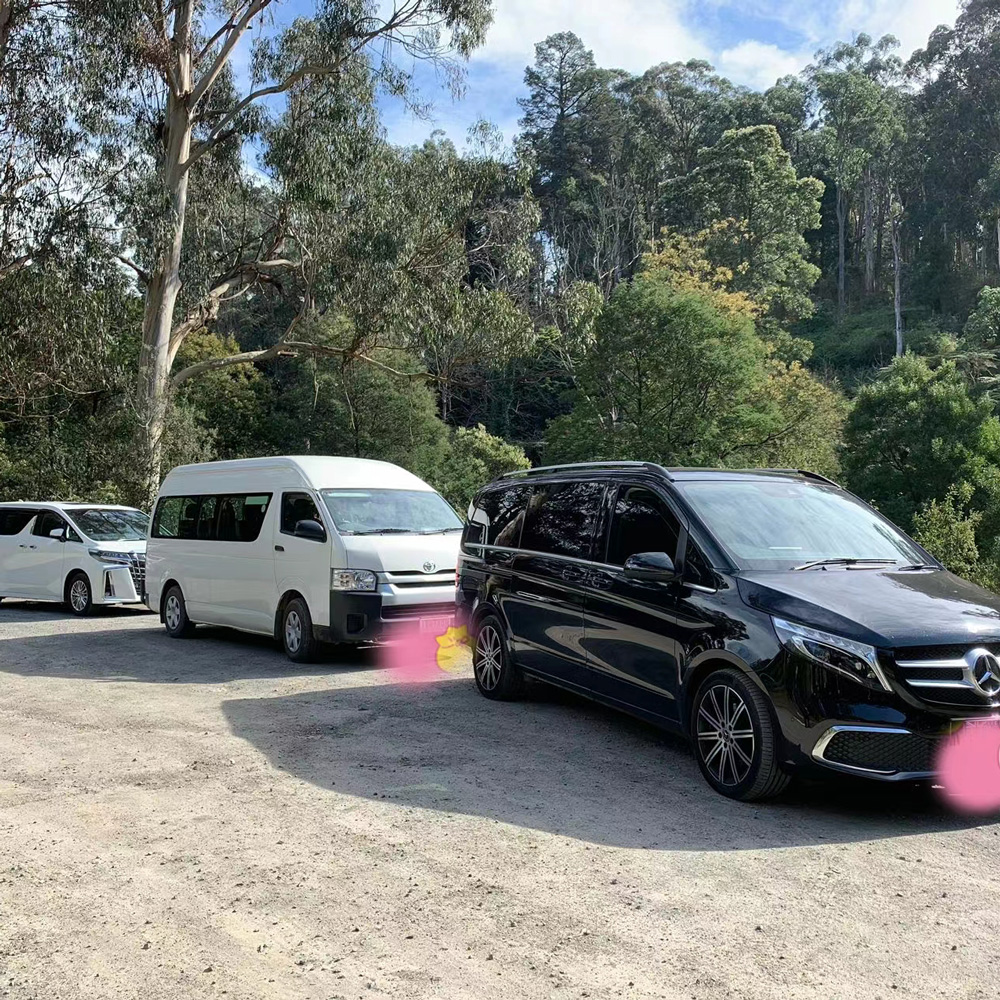 墨尔本12座丰田海狮Toyota Hiace中文司导陪同包车游玩