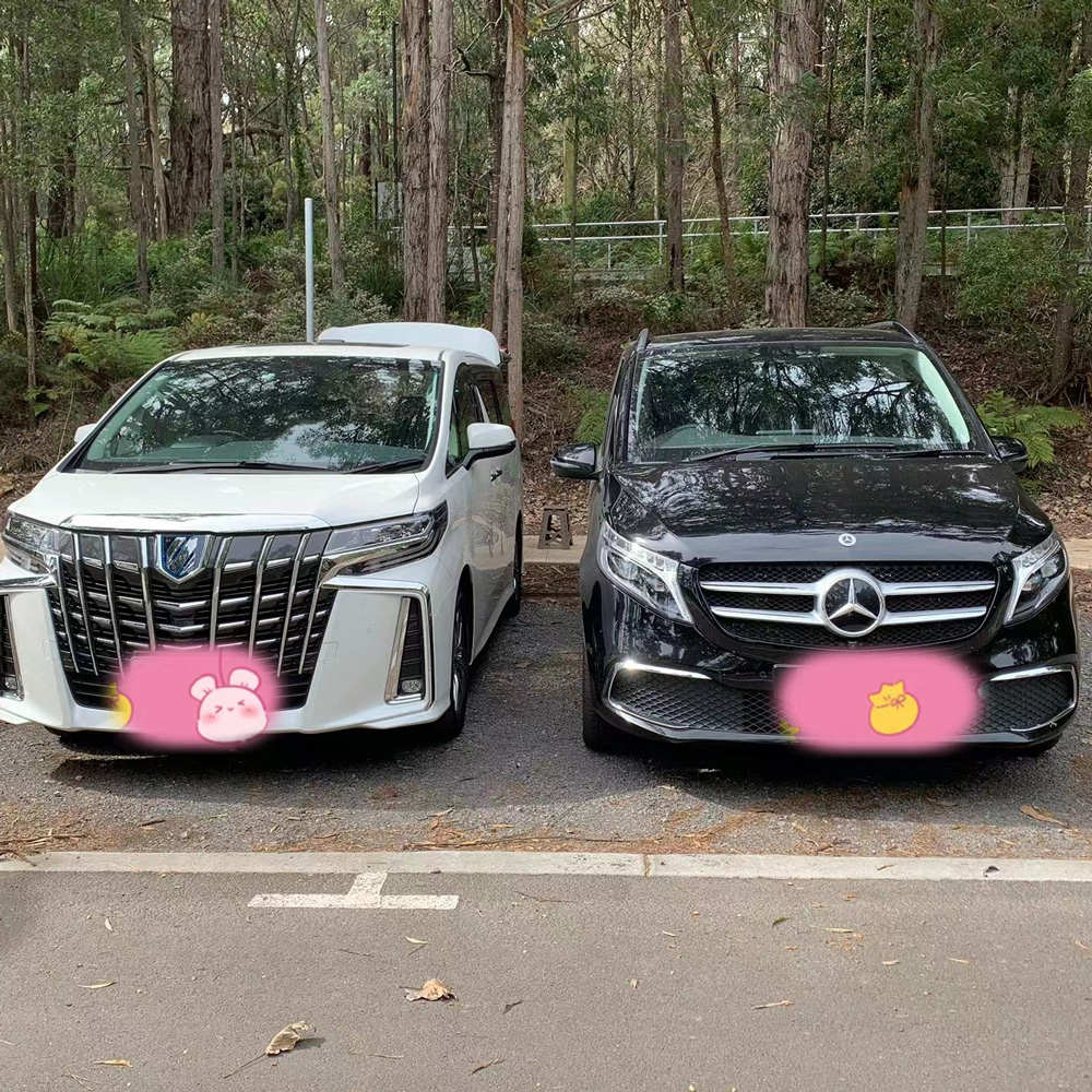 墨尔本7座商务奔驰Mercedes-Benz中文司导包车游玩