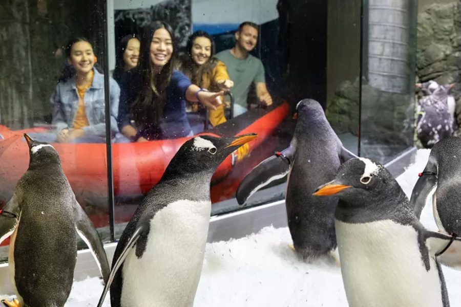 悉尼海洋生物水族馆门票（情人港）